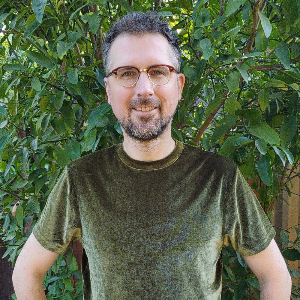 Asos short sleeve tshirt velour/velvet shiny metallic mossy forest dark green